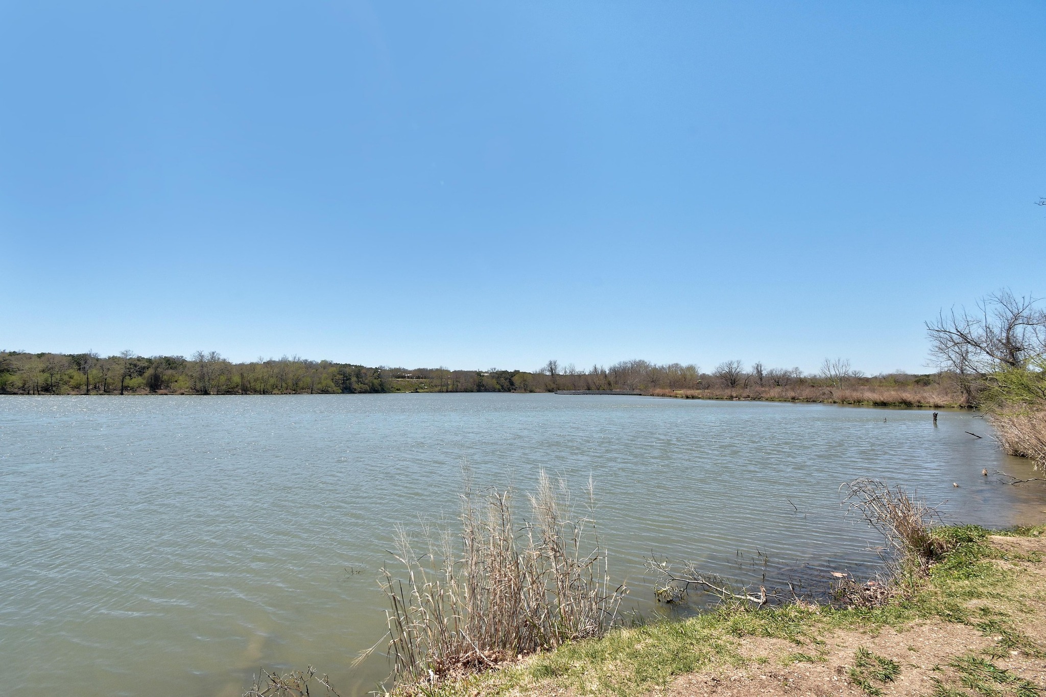 Lakewood Park lake